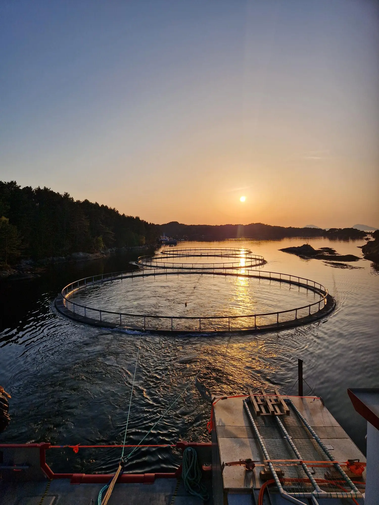Sølvfisken på slepeoppdrag • Sjøprodukt AS
