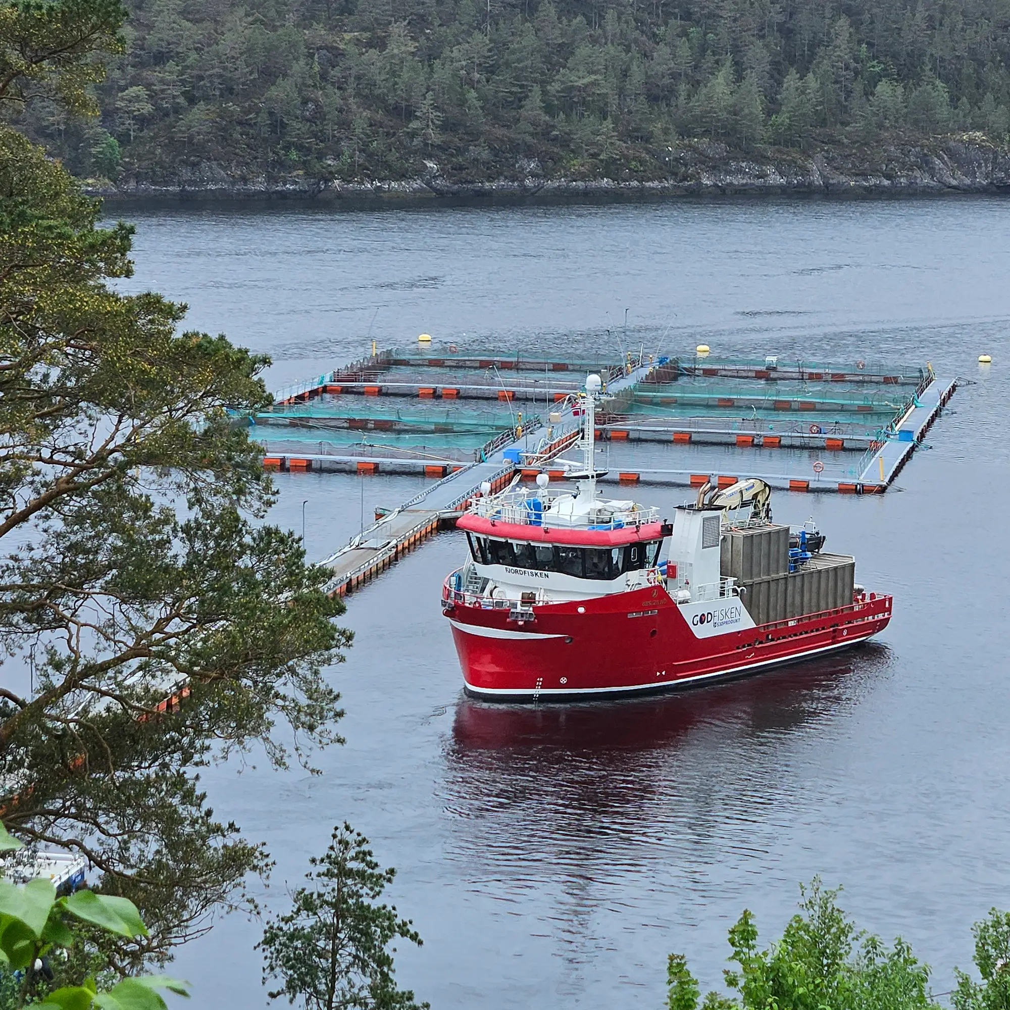 Fjordfisken på åpen dag Steinvik Fiskefarm