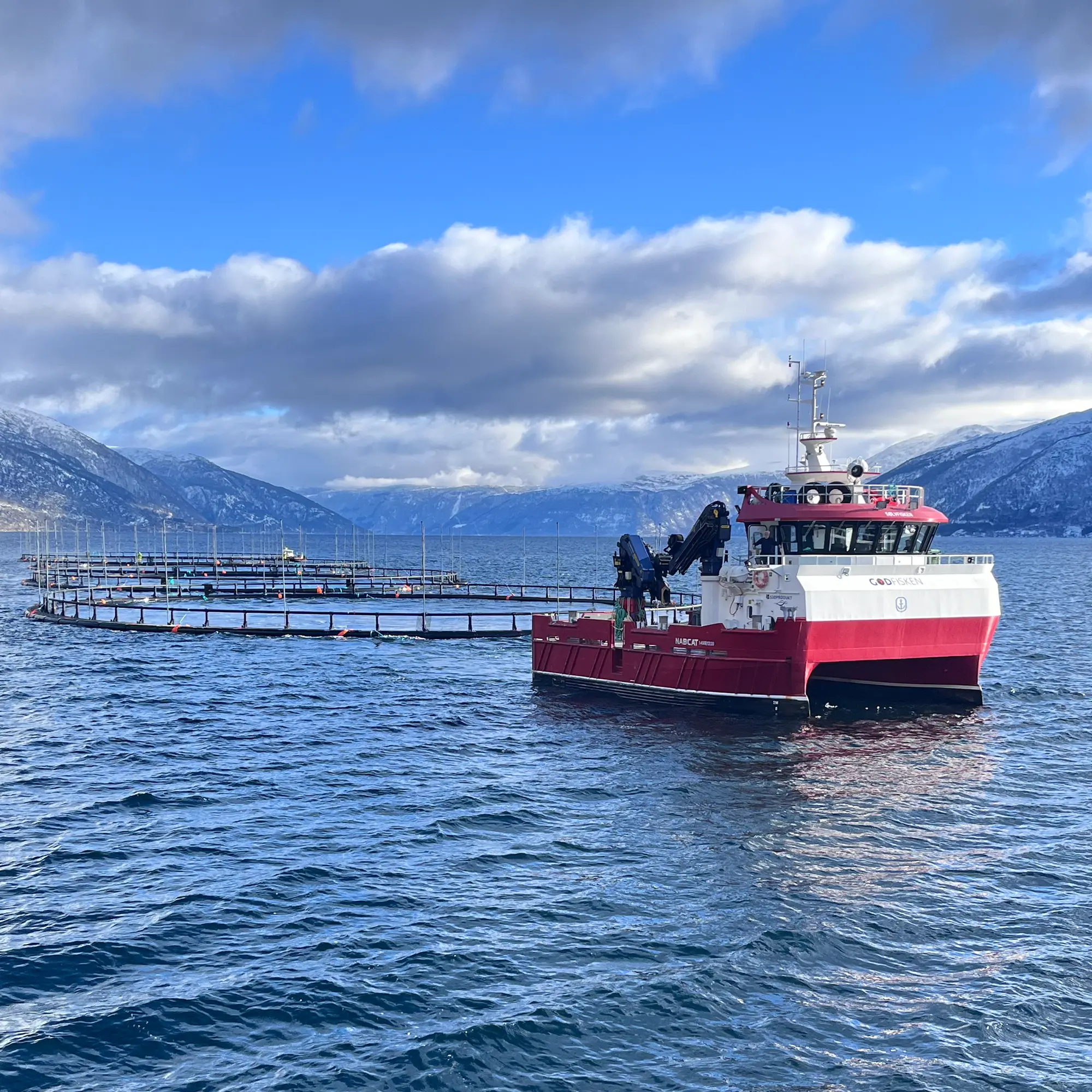 Sølvfisken slep